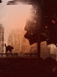 Кошкино удивление обои