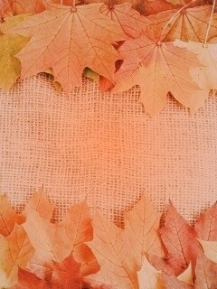 Желтые кленовые листья на холсте обои