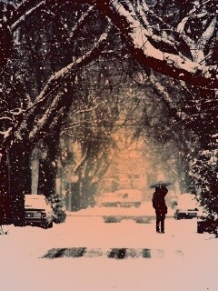 Зимняя улица обои