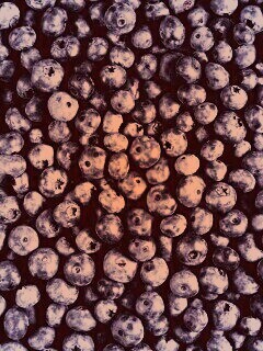 Черника обои