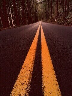 Дорога в лесу обои