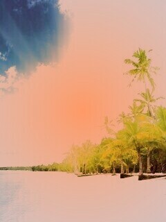 Тропическое побережье обои