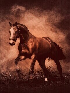 Лошадь обои