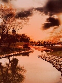 Осенний день в парке обои