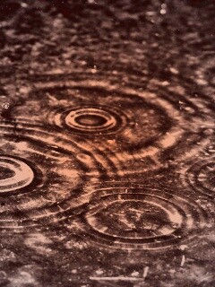 Круги на воде обои