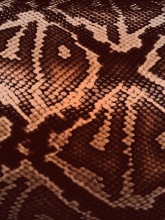 Змеиная кожа обои