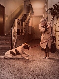 Непослушная собака обои