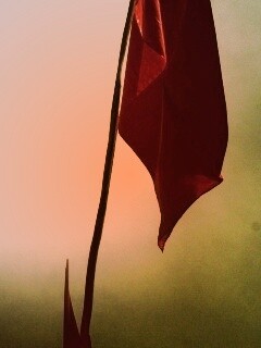 Красный флаг обои