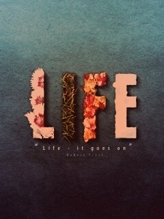 Жизнь, она продолжается... обои