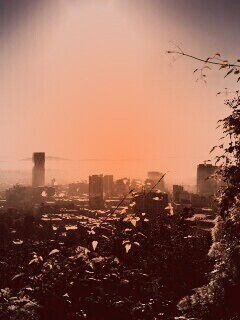 Утро в раю обои