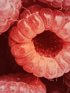 Малина обои