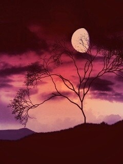 Фиолетовые небеса обои