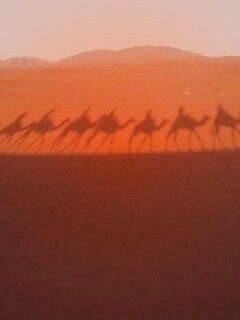 Караван обои