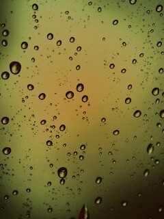Обои капель дождя на стекле обои