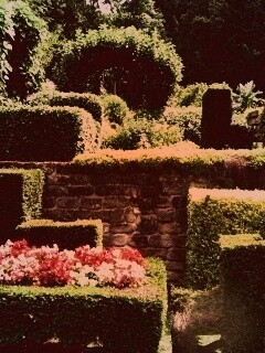 Декоративный сад обои