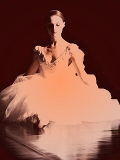 Черный лебедь обои