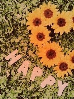 Радость обои