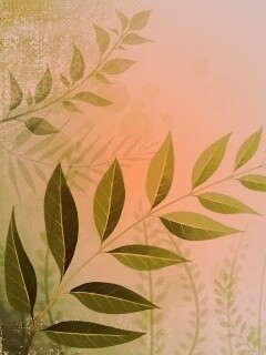 Веточка молодых листьев обои