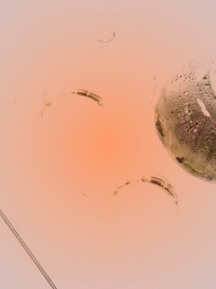 Зеленый чай обои