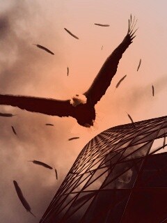 Орлиный полет обои