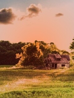 Домик в лесу обои