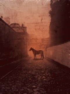 Лошадь в тумане обои