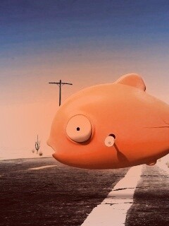 Рыбка из Ранго обои