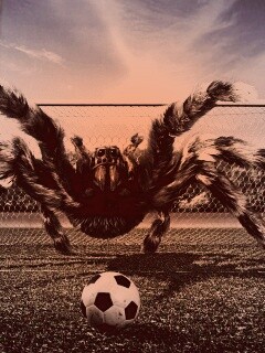 Вратарь обои