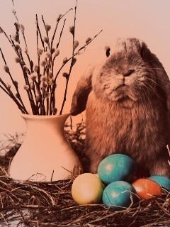 Пасхальный кролик обои