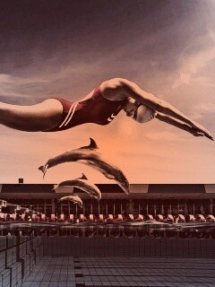 Соревнование обои