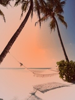 Тропический рай обои