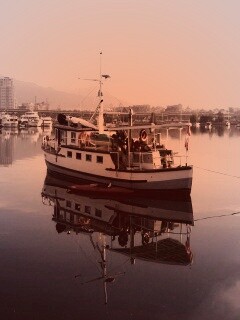 Городская панорама обои