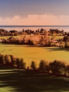 Сельская природа обои