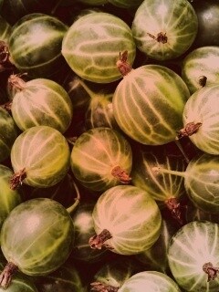 Зелёный крыжовник обои