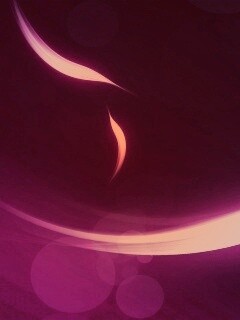 Лепестки света обои