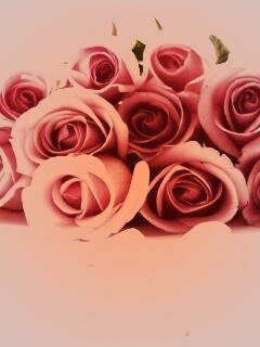 Букет роз обои