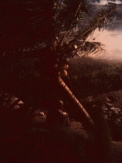 Вид на джунгли обои