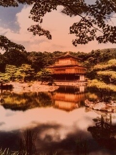 Японский домик на берегу озера обои