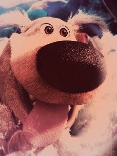 Собака из мультфильма Up обои