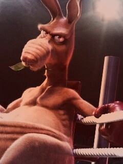 Кенгуру-боксер на ринге обои