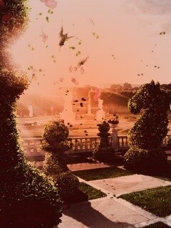 Шахматный сад обои