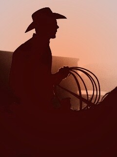 Ковбой с лассо на коне обои