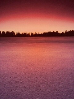 Восход над заснеженным лесом обои