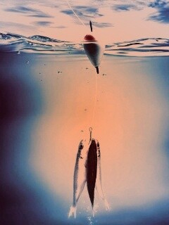 На крючке обои