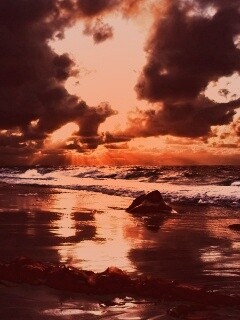 Океанский берег на закате обои