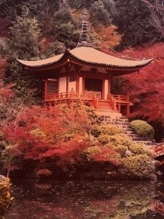 Дайго - посёлок в японии обои