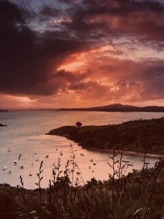 Waiheke Island, New Zealand обои