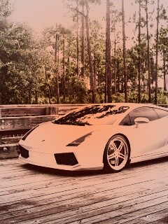 Ламбоджини на мосту в лесу обои