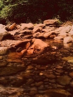 Гораня река обои