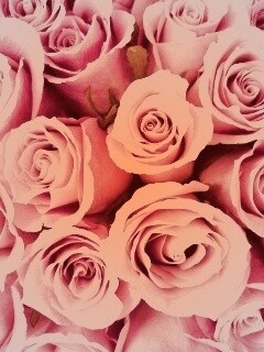 Букет роз обои